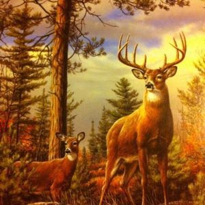 Meet your Posher, Cheryl